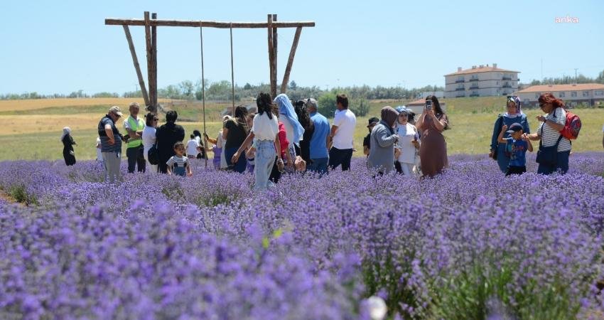 Kırşehir Belediyesi 3. Lavanta Şöleni, 25 Haziran 2023 Pazar günü