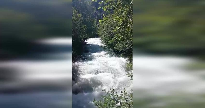 Cengiz İnşaat'ın İkizdere Vadisi’nde yapmak istediği taş ocağına karşı dayanışma