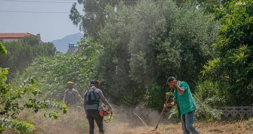 Kuşadası Belediyesi, Kurban Bayramı öncesinde kent genelinde park ve yeşil