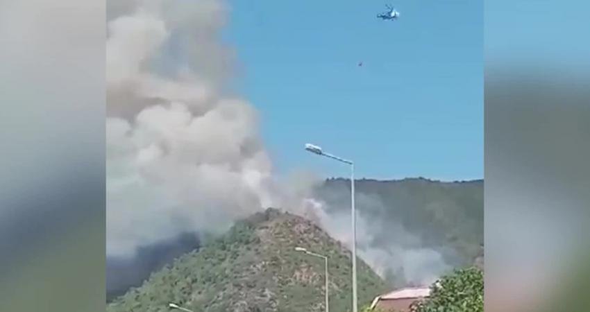 Muğla’nın Marmaris ilçesinde orman yangını çıktı.