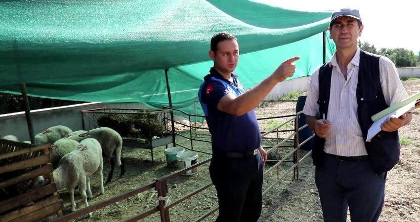 Menderes Belediyesi, ilçede kurulan kurban pazarlarında denetimler yapıyor.