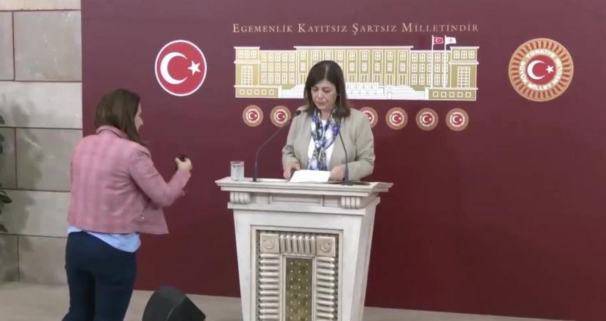 Yeşil Sol Parti Grup Başkanvekili Meral Danış Beştaş, Merkez Bankası’nın