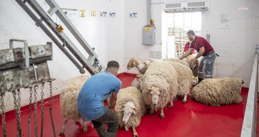 Mersin Büyükşehir Belediyesi Tarımsal Hizmetler Dairesi Başkanlığı ve Sosyal Hizmetler