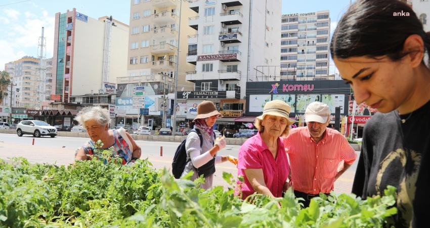 Mezitli Belediyesi, apartman bahçelerinde ve balkonlarında üretim yapmak isteyenler için