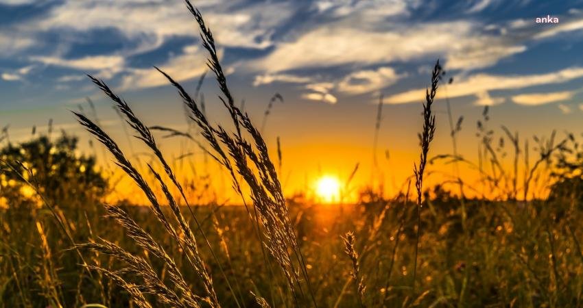 Ata Tohumculuk’un düzenlediği Milli Tohum Tanıtımı ve Tarla Günleri, yarın