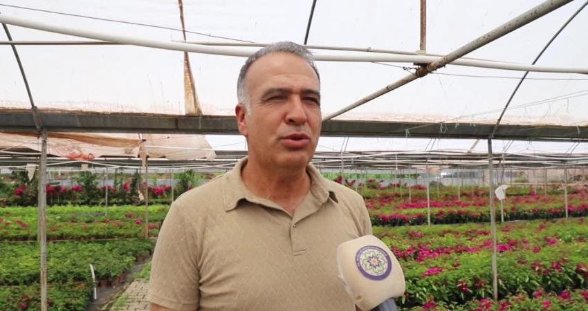 Muğla Büyükşehir Belediyesi’nin destekleriyle kadın üreticilerin ürettiği çiçekler, Muğla’yı ve