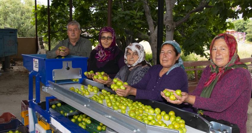 Mersin Büyükşehir Belediyesi Tarımsal Hizmetler Dairesi, Mut ilçesine bağlı Suçatı