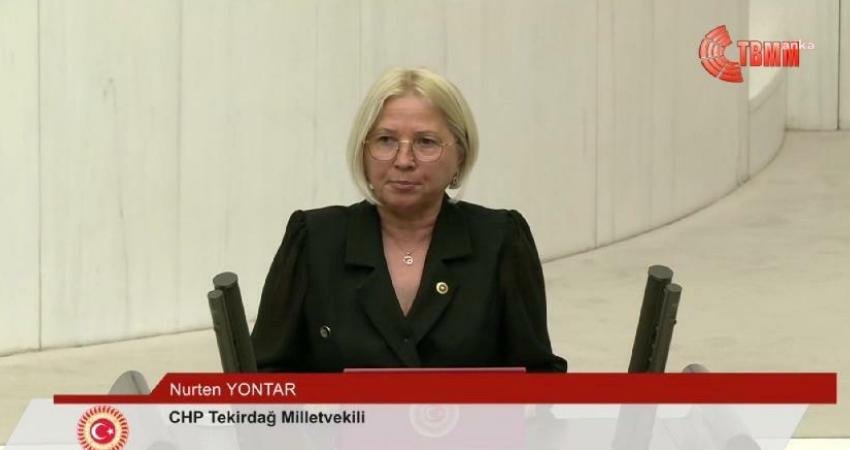 CHP Tekirdağ Milletvekili Nurten Yontar, asgari ücretle ilgili Çalışma ve