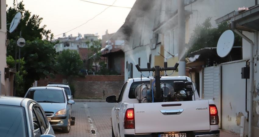 Ödemiş’te Sivrisinek ve Haşereyle Etkin Mücadele Ödemiş Belediyesi ekipleri, sıcak yaz günlerinde vatandaşların mağdur olmaması ve