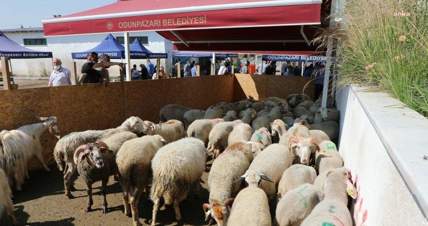 Odunpazarı Belediyesi, Kurban Bayramı öncesinde Odunpazarlıların güzel bir bayram geçirmesi