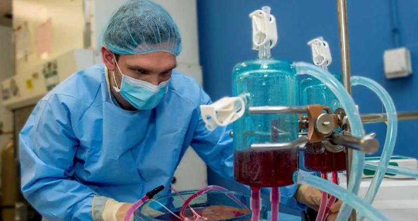 Bilim insanları ilk kez dondurulmuş ve daha sonra çözülmüş bir