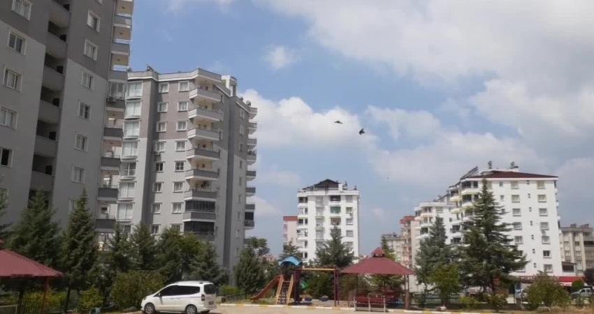 Osmaniye'nin Kadirli ilçesinde site görevlisi Ercan Yeşilyurt, kira fiyatlarının artması