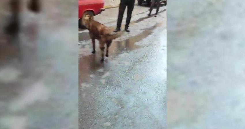 İstanbul'un Pendik ilçesinde, kaporta boyama atölyesinde yangın çıktı. Bu sırada