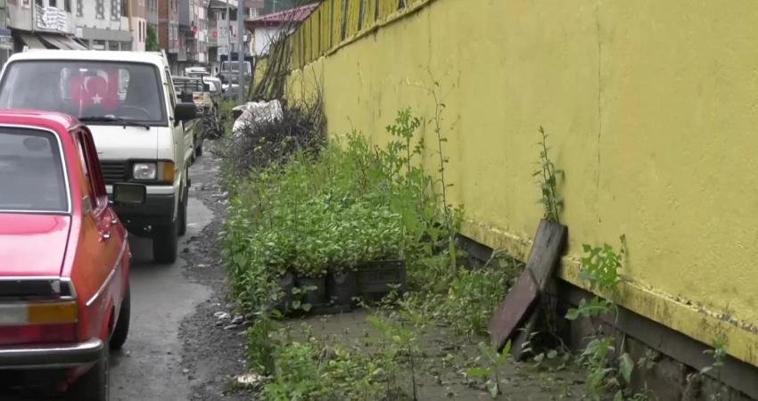 Rize'nin Çaykent Belediyesine bağlı Kokulu Kaya Mahallesi sakinleri, doğal gaz