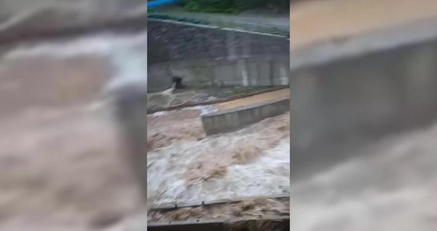 Rize'de dün meydana gelen sağanak yağış nedeniyle Hemşin Deresi taştı.