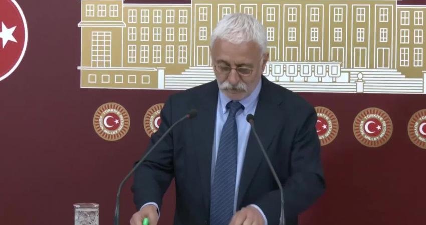 Yeşiller ve Sol Gelecek Partisi (Yeşil Sol Parti) Grup Başkanvekili