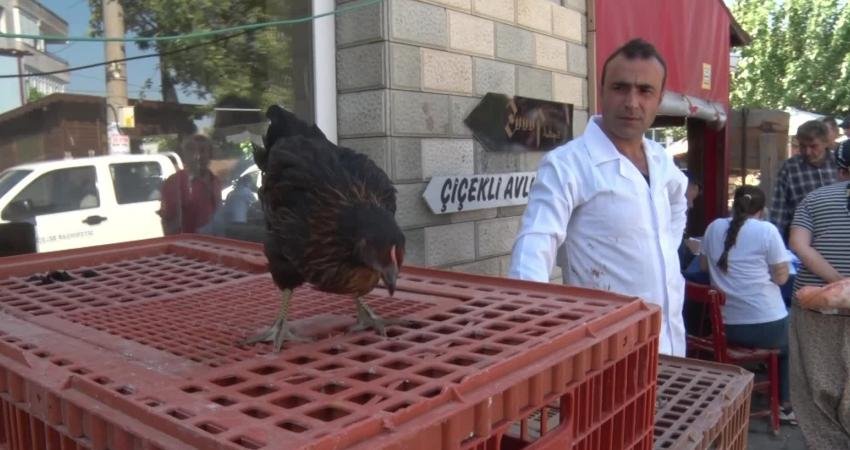 Seferihisar Belediyesi, çiftçilere ek gelir kaynağı yaratacak ve vatandaşların güvenilir