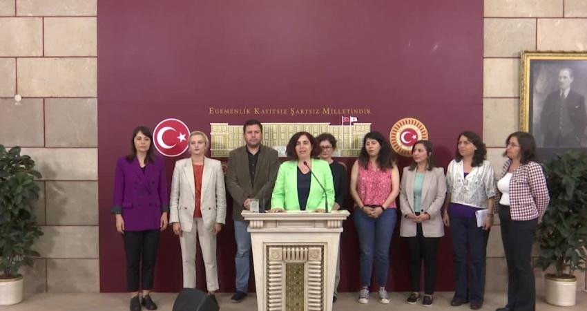 Yeşil Sol Parti Diyarbakır Milletvekili Sevilay Çelenk, Barış İçin Akademisyenler