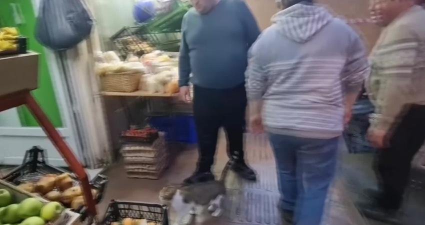 Sinop’ta Yavruları Ölen Anne Kedi, Terk Edilen 4 Yavruyu Sahiplendi Sinop'ta yavruları ölen anne kedi, terk edilen 4 yavruyu sahiplendi.