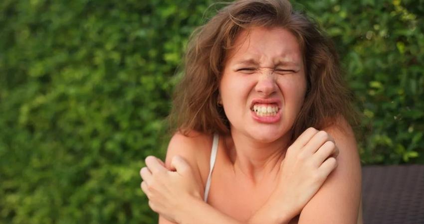 Sivrisineklerin Sizi Isırmaması İçin Ne Yapabilirsiniz? İşte Gerçekler ve Şehir Efsaneleri Sivrisinekler neden bazılarımızı çok severken bazılarımıza hiç yaklaşmıyor bile? Bunun