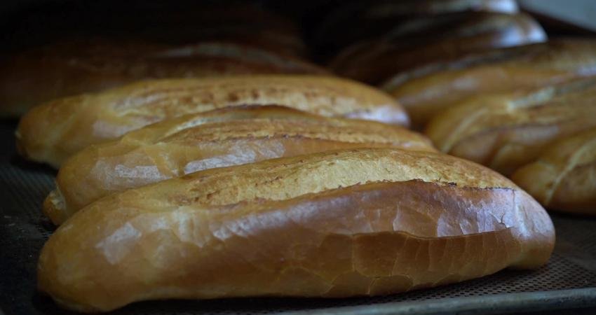 Tarsus Belediye Başkanı Haluk Bozdoğan, “Halk Ekmek Fırını’mızda hijyenik ortamda