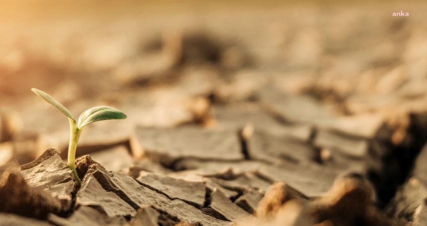 TEMA Vakfı, "17 Haziran Dünya Çölleşme ve Kuraklıkla Mücadele Günü'nde