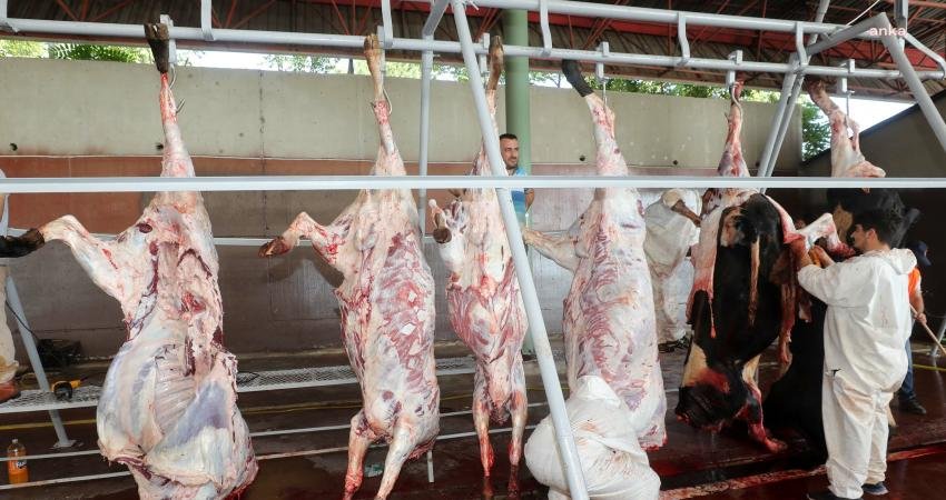 Yenimahalle Belediyesi, her yıl binlerce başkent sakinlerinin temiz ve güvenli