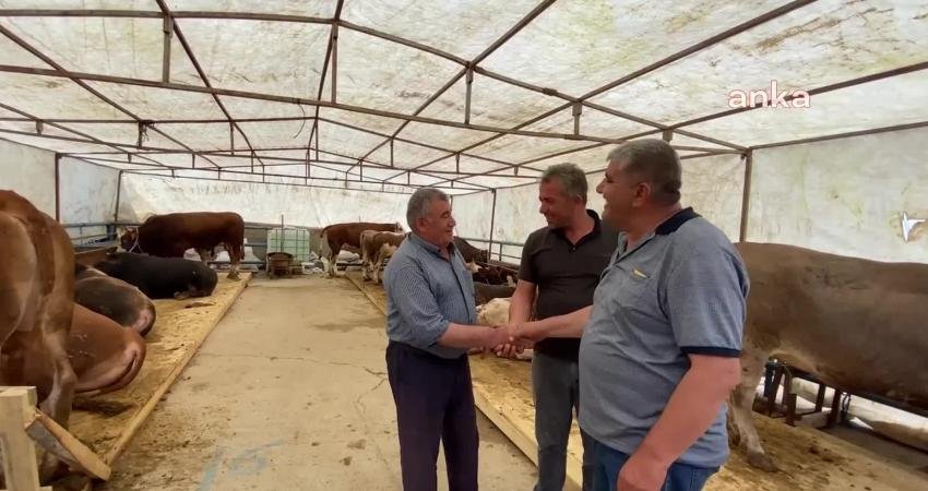 Kurban Bayramı yaklaşırken Yozgat'taki kurban pazarlarında çadırlar kurulmaya başlandı. Besiciler,