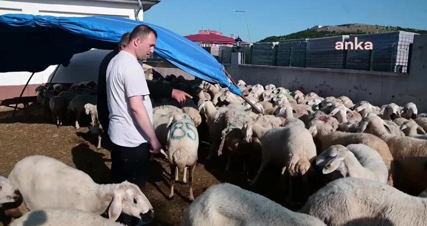 Yozgat’ta Kurban Bayramı’nın ilk gününde bayram namazı sonrası başlayan kurban