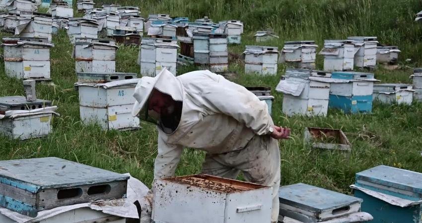 Yozgat Bozok Üniversitesi Ziraat Fakültesi Zootekni bölümü Öğretim Üyesi Dr.
