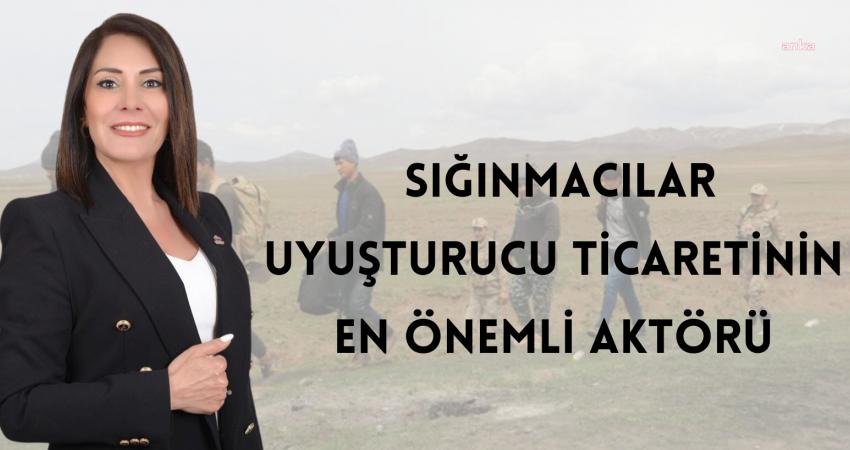 Zafer Partisi Genel Başkan Yardımcısı Esmaül Hüsna Aslan; BM Uluslararası