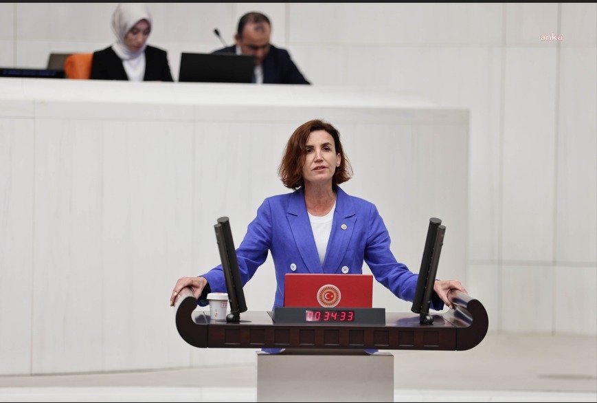 CHP Antalya Milletvekili Aliye Coşar, “Kemer orman yangınına müdahale eden