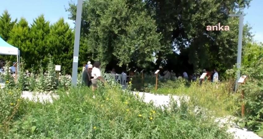 Balıkesir'in Burhaniye ilçesi, 4. Balıkesir Aromaterapi Festivaline ev sahipliği yapıyor.