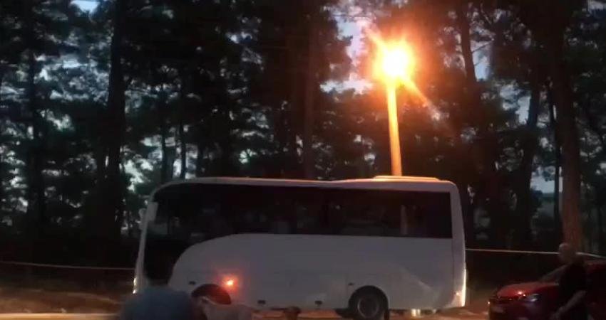 Akbelen Ormanı’na Sabaha Karşı 05.30’da Baskın: “Kesim Motorları ile Akbelen Ormanı’na Girildi. ve Çamları Kesmeye Başladılar” Muğla İkizköy’deki kömür maden sahasının genişletilmesi çalışmalarına karşı Akbelen Ormanı’nı