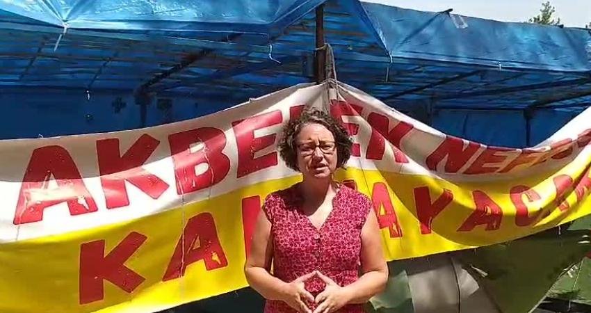 Muğla Milas’daki Akbelen Ormanı’nda açılacak kömür ocağı nedeniyle ağaçların kesilmesine