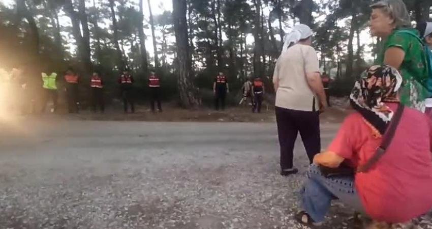 Akbelen Ormanı’nda sabah 05.30’da başlayan baskın ile çam ağaçlarının kesilmesine