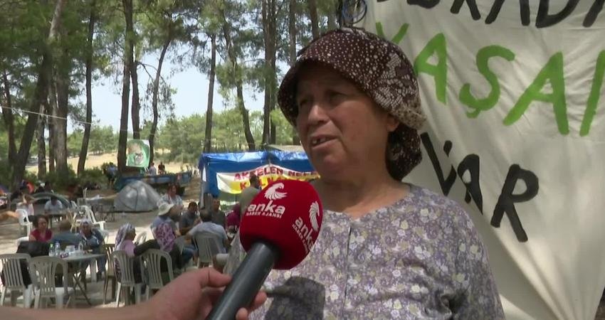 Muğla’da, Akbelen Ormanları’nda ağaçların kesilmesine karşı direnen bir köylü, “Memleketimiz,