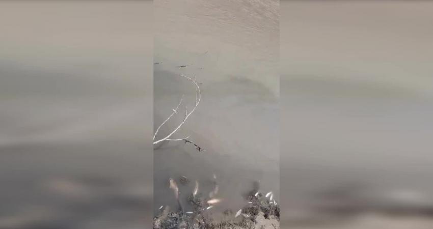 CHP Kahramanmaraş Milletvekili Ali Öztunç, “Afşin-Elbistan Termik Santrali, yıllardır çevre