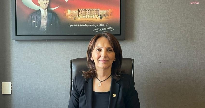 CHP Ankara Milletvekili Aliye Timisi Ersever, kayıp ya da kaçırılan