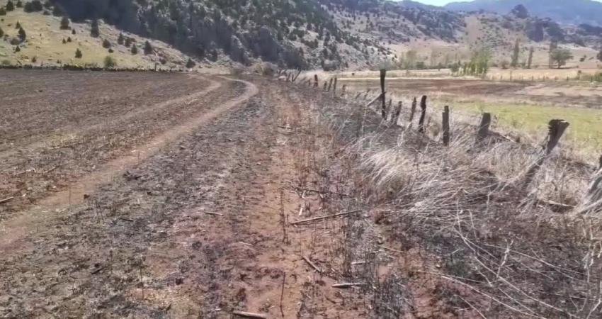 Kahramanmaraş’ın Andırın ilçesine bağlı Geben yaylasında arpa ektiği tarlasında hasat