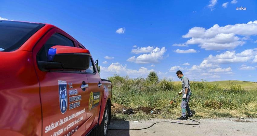 Ankara Büyükşehir Belediyesi (ABB), havaların ısınmasıyla birlikte sinek ve haşerelere