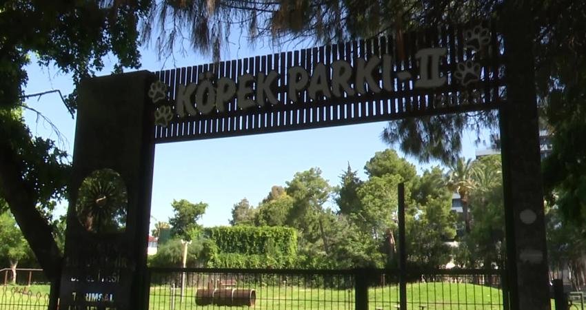 Antalya Büyükşehir Belediyesi, Atatürk Kültür Parkı içerisinde yer alan köpek