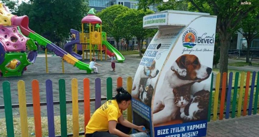 Atakum Belediyesi Kırsal Hizmetler Müdürlüğü ekipleri, artan hava sıcaklıklarının sokak