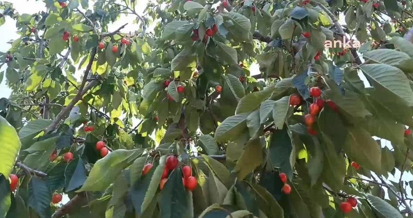 Aydın Karacasu’da kurulması planlanan Rüzgâr Enerji Santrali (RES) için “ÇED