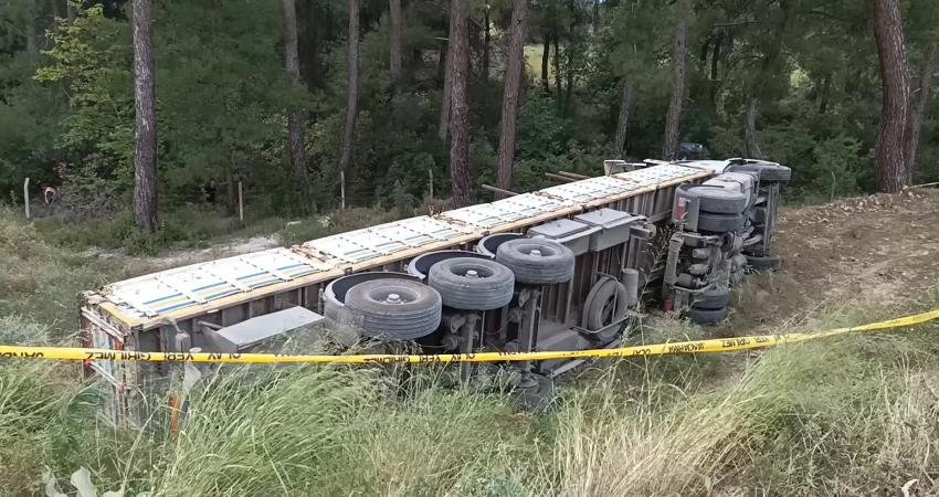 Aydın'ın Karacasu ilçesi Esençay Mahallesi’nde bulunan Çamlıbel orman deposuna tomruk