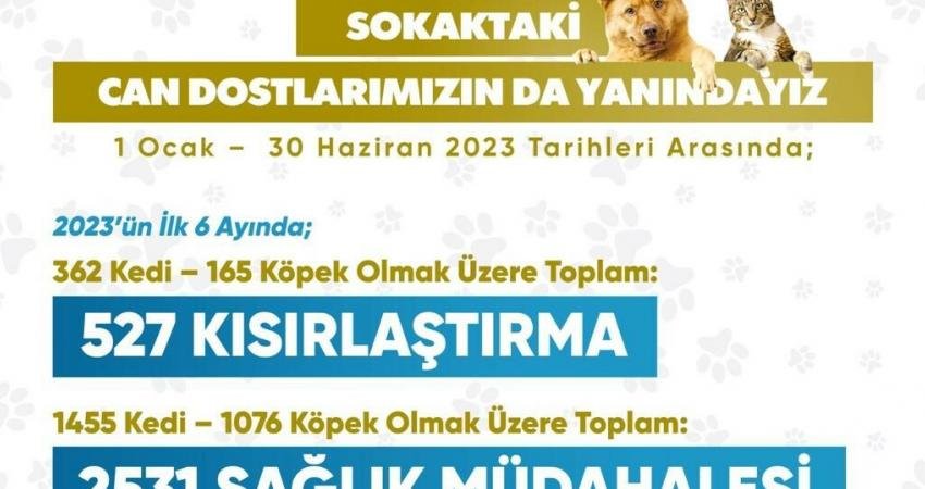 Ayvalık Belediyesi Sokaktaki Can Dostların da Yanında Ayvalık Belediyesi Veterinerlik İşleri Müdürlüğü 2023 yılının ilk 6 ayında