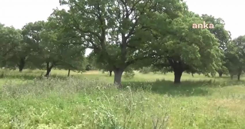 İzmir'in Bergama ilçesine bağlı Sarıcalar Mahallesi sakinleri, çevre örgütleri ve