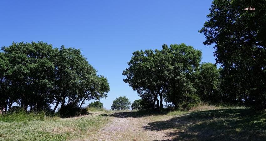 İlçedeki yeşil alanların sayısını artırmaya devam eden Beylikdüzü Belediyesi, Gürpınar
