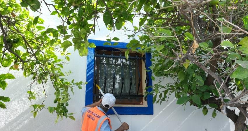 Bodrum’un simgesi haline gelen mavi ve beyaz, Bodrum Belediyesi tarafından