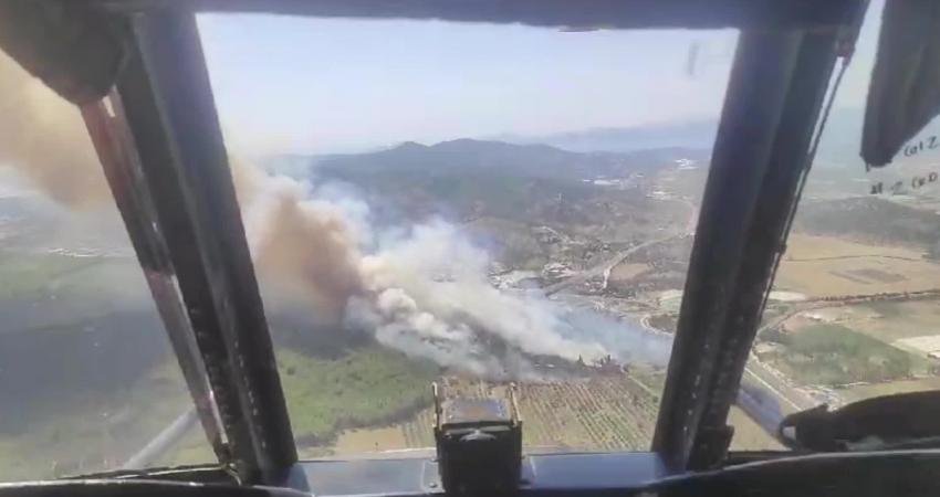 Muğla'da Milas-Bodrum karayolu havalimanı kavşağında ormanlık alanda yangın başladı.